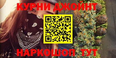 сатива Будённовск