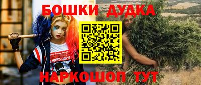 сатива Будённовск
